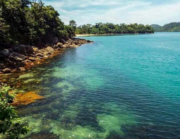 Apartamento Novo , Poucos Metros Da Praia Com Wi Fi Ubatuba Eksteriør bilde
